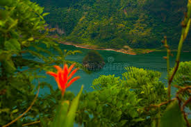 Hot bubbles have been springing underwater more than usual in mabini, batangas some 20 kilometers south of the taal volcano. Island Taal Volcano Caldera Lake Photos Free Royalty Free Stock Photos From Dreamstime