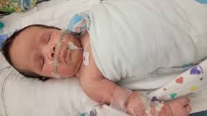 Fundraiser by Michelle Buttry : Compassion for a Tiny Fighter