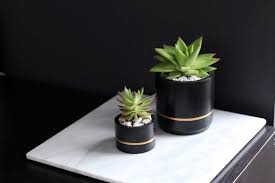 Black And Gold Design For Pots Black Gold Cylinder Concrete Planter Www Mindtheminimal Etsy Com Concrete Planters Planters Handmade Concrete Planters