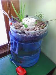 Aquaponics 5 Gallon Bucket Aquaponic