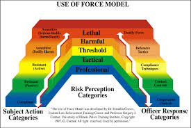 Security Officer Use Of Force Use Of Force Continuum