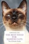 How to Care for a Siamese Cat: 11 Steps (with ... - wikiHow