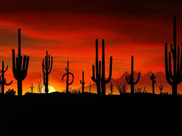 A collection of the top 48 cactus wallpapers and backgrounds available for download for free. Arizona Desert Wallpapers Group 60