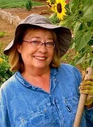 Colleen Pearson's Instagram, Twitter & Facebook