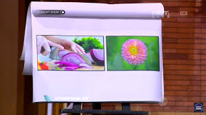 Kunci jawaban permainan game tebak gambar level 2 no 7. Tebak Gambar Tonight Show Tebak Gambar