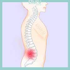 Sumsum tulang belakang merupakan salah satu bagian dari sistem saraf pusat manusia yang menghubungkan sistem saraf tepi dan sistem saraf pusat di otak. Top 4 Spinal Pain Treatment In Selangor Price Guide Reviews