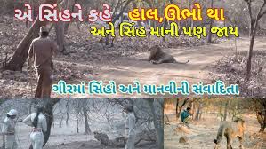 Tiger and Lion Safari -National Park ...