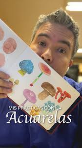 boceteros, comenzamos el fin de semana con un dibujo muy kawaii. Nuestro  dibujo de hoy es como dibujar un castor kawaii, puedes ver en este sencillo  paso a paso que el dibujo