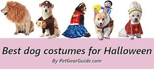 Best Dog Costumes For Halloween Christmas And Parties