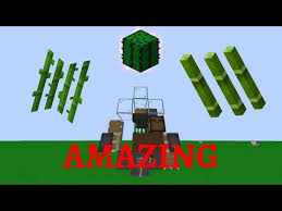 And whats the advantages over regular string & fence design cactus farm? Improved 0 Tick Sugarcane Bamboo And Cactus Farm Compact Youtube