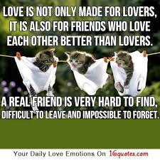 They make it into a myth and chase the myth instead. Love Is Not Only Made For Lovers Real Friends Forgotten Quotes Lovers Quotes