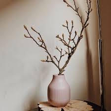 Magnolia Melancholia Werbung Weil Liebe Was Ich Noch Mehr Liebe Als Magnolien Meinen Mann Treecollective Der Kommt Magnolien Pflanzen Topfpflanzen