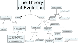 Theory Of Evolution Theory Of Evolution Concept Map Answers