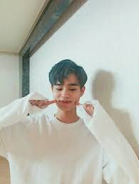 Cari Tahu Yuk Siapa Artis Korea Yang Berzodiak Sama Denganmu