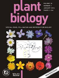 Summer floral pattern with raspberries, bees and yellow flowers. Bees Birds And Yellow Flowers Pollinator Dependent Convergent Evolution Of Uv Patterns Papiorek 2016 Plant Biology Wiley Online Library