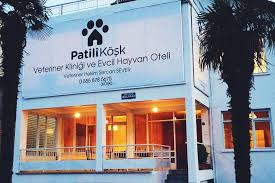 Samsun Un Sevgi Dolu Klinigi Ve Pet Oteli Patili Kosk Kalbimdeki Patiler Oteller Hayvan Tatiller