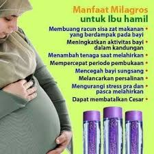 Milagros Sangat Baik Untuk Ibu Hamil Dan Menyusui Untuk Info Dan Pemesanan Wa 087821026392 Pinbbm D805pg Hamil Makanan Aktivitas Bayi