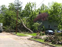 They did all that i asked of trimming the tree. Tree Service Tree Removal Tree Trimming Dayton Oh