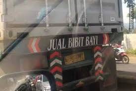  Pin Oleh Hasib Naila Di Cats Lucu Gambar Kata Kata