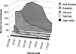 Area Chart Showing Weekly Counts Of Elephant Seal Sex Age