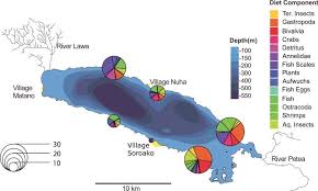 Diet Composition Of Flowerhorn Cichlids 40 Mm At The Six