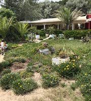 Da 40anni fissa a marina romea, l'unico anno. The 10 Best Restaurants Near Battigia 42 In Marina Romea Province Of Ravenna Tripadvisor
