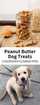 3 Ingredient Dog Treats Recipe Garlic Head Recipe Dog Treats Homemade Recipes Healthy Dog Treats Homemade Easy Dog Treat Recipes