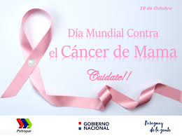 No importa la edad que tengas, el estilo de vida que lleves o la profesión a la que te dediques; Dia Mundial De Lucha Contra El Cancer De Mama Ads