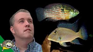 We did not find results for: 10 Cleaner Fish For Your Aquarium My Secret Weapons Youtube