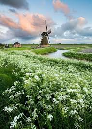 Eemshaven Netherlands Dutch Windmills Windmill Dutch Farms