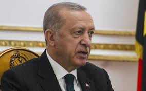 Turkey's Erdogan orders 10 ambassadors expelled for seeking activist's  release