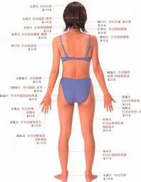 常見病痛的穴位按摩大全 頭痛 更年期 止痛 閃到腰 喉嚨痛 胃痛等 哪邊痛按哪個穴道減緩都幫你整理好了 acupressure therapy acupunture traditional chinese medicine