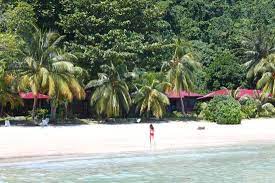 Also you can list latest follows, videos and images by tenggol_coral_beach_resort. Tenggol Coral Beach Resort Prices Campground Reviews Dungun Malaysia Tripadvisor