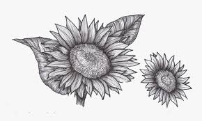 Check spelling or type a new query. Black And White Sunflower Png Free Transparent Png Transparent Png Image Pngitem