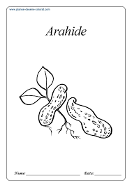 Planșe de colorat pentru fete de la 2 la 15 ani. Imagini De Colorat Fete Vesele Coloring Free To Print