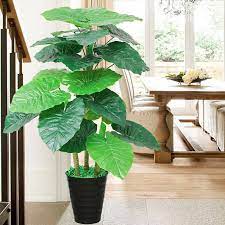 Hati pun jadi sejuk dan tenang. New Arrival Pokok Hiasan Dalam Rumah Pasu Bunga Lowest Price Tanaman Hijau Buatan Pot Kekayaan Pohon Tanaman Hiasan Dalaman Pokok Bunga Matahari Pokok Buatan Pokok Bunga Buatan Besar Bunga Bonsai Shopee