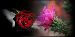 Si uno ve a sí mismo de recibir un recipiente lleno de dulces en un sueño , significa recibir la abundancia del amor. La Rosa O El Cactus El Atico Del Alma