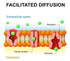 Check spelling or type a new query. 3 Types Of Diffusion Plus Examples For Each Nayturr