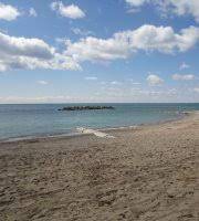 A uv index reading of 3 or more means some precautions should be taken. Woodbine Beach Picture Of Woodbine Park Toronto Tripadvisor