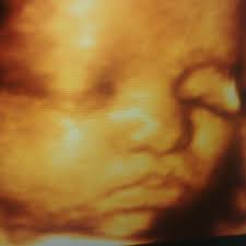 Servicios Médicos Especializados San Agustin