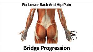 That's important, since strength in these muscles can help prevent low back pain as well as help you lift heavier weights during your workout. Fix Lower Back And Hip Pain Bridge Progression Youtube