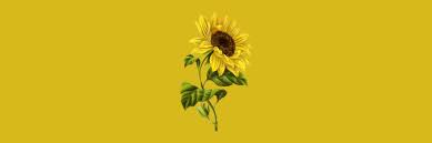 In such page, we additionally have number of images out there. Flower Header Explore Tumblr Posts And Blogs Tumgir