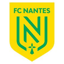 The best football manager 2021 logos megapack that will make your fm21 look simply amazing. French Ligue 1 Football Logos