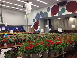 We are a dynamic edge city with so much to offer. Carmel Elementary S Annual Flower Sale Offers Earlier Pickup