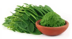 Hasil penelitian organisasi kesehatan dunia menyatakan bahwa daun kelor adalah alternative kesehatan paling murah di dunia selama ini. Moringa Pokok Ajaib Islam Itu Indah