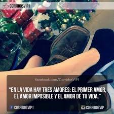 Corridosvip Frases De Buchonas Frases Chingonas Frases Fregonas