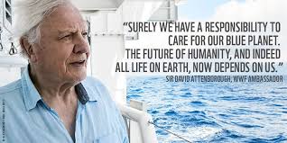 Chris Philpott (@chrisphilpott01)