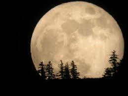 Please report your sighting to the local central hilal committee member/coordinator, and/or to us directly at report@hilalcommittee.org, along with. Spectacular Sight On Nov 14 Supermoon Is The Closest Moon To Earth Since 1948 Messagetoeagle Com Super Moon Full Moon Full Moon Images