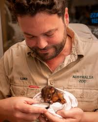 Luke Reavley (@lukereavley) • Instagram photos and videos