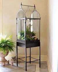 Pin On Terrarium Topiary Etc